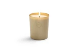 Geurkaars Moments Summer Night  -Exporteren Droomnest Winkel 0003 candle xl summer night 3 brandend