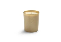 Geurkaars Moments Summer Night  -Exporteren Droomnest Winkel 0005 candle xl summer night 1