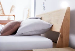 Bedframe Balance Tender - Snel Leverbaar 12 Bedframe Balance Tender - Snel Leverbaar -Exporteren Droomnest Winkel balance tender sfeer hb2 1 1