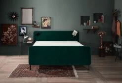 Boxspring Lifestyle By Vtwonen Basil -Exporteren Droomnest Winkel basil front kaal web