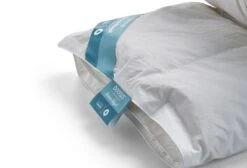 Dixxius Bronze Royal Custom Climate 4 Dekbed -Exporteren Droomnest Winkel cc4 hoek zijlabel