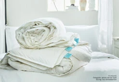 Dixxius 4-Seizoenen Green Royal By Vtwonen Dekbed 20 Dixxius 4-Seizoenen Green Royal By Vtwonen Dekbed -Exporteren Droomnest Winkel dekbedopgerold vtswiss 2024 1