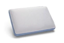 Dixxius Support Traagschuim Two Season Hoofdkussen 7 Dixxius Support Traagschuim Two Season Hoofdkussen -Exporteren Droomnest Winkel dixxius hk traagschuim 2seizoenen 1