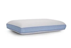 Dixxius Support Traagschuim Two Season Hoofdkussen 8 Dixxius Support Traagschuim Two Season Hoofdkussen -Exporteren Droomnest Winkel dixxius hk traagschuim 2seizoenen 2