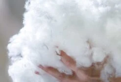 Dixxius Comfort Box Ecodown Hoofdkussen -Exporteren Droomnest Winkel ecodown vulling