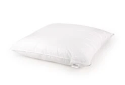 Dixxius Comfort Ecodown Hoofdkussen -Exporteren Droomnest Winkel ecodown 80x80 liggend 2000x1366 1