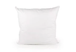 Dixxius Comfort Ecodown Hoofdkussen -Exporteren Droomnest Winkel ecodown 80x80 staand 2000x1366 1