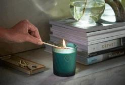 Geurkaars Moments Forest Breeze