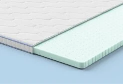 Gazella Breeze I Topper -Exporteren Droomnest Winkel gazellabreezei alpha