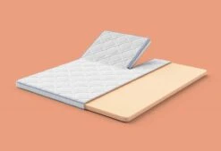 Gazella Support I Split-Topper 15 Gazella Support I Split-Topper -Exporteren Droomnest Winkel gazellasupporti split alpha 1