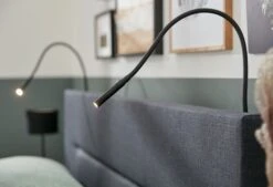 Boxspring Home 250 - Snel Leverbaar -Exporteren Droomnest Winkel home 250 detail lampjes b 1