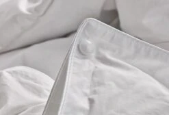 Dixxius Bronze Royal Custom Climate 4 Dekbed -Exporteren Droomnest Winkel knoop 3