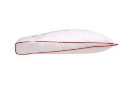 Silvana Support Hoofdkussen Grenat 8 Silvana Support Hoofdkussen Grenat -Exporteren Droomnest Winkel silvana 0118 support grenat zij