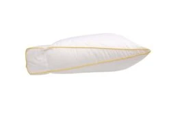 Silvana Support Hoofdkussen Cristal 10 Silvana Support Hoofdkussen Cristal -Exporteren Droomnest Winkel silvana 0123 support cristal zij 1